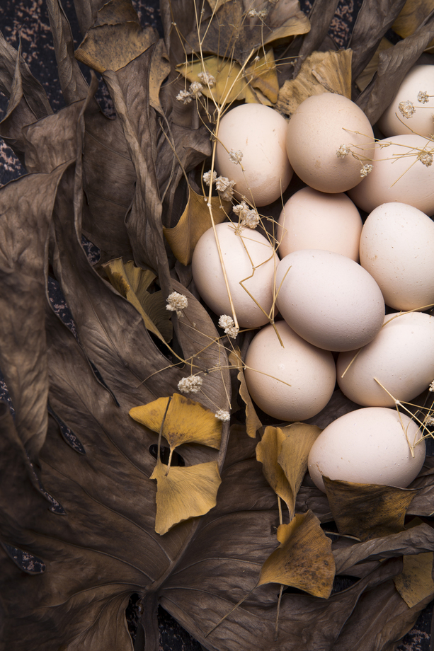 土鸡蛋图片