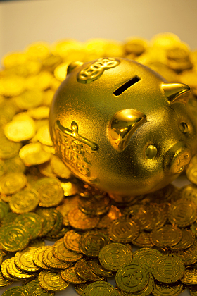 存钱罐和金币照片
