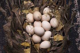 土鸡蛋图片