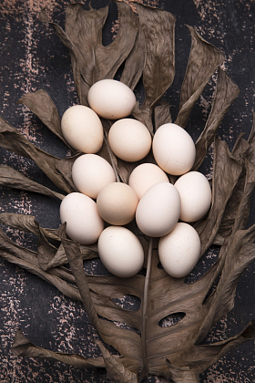 土鸡蛋照片