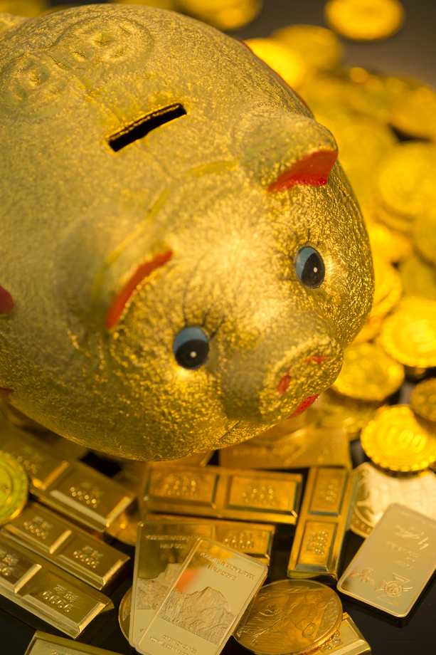 存钱罐和金 存钱罐和金