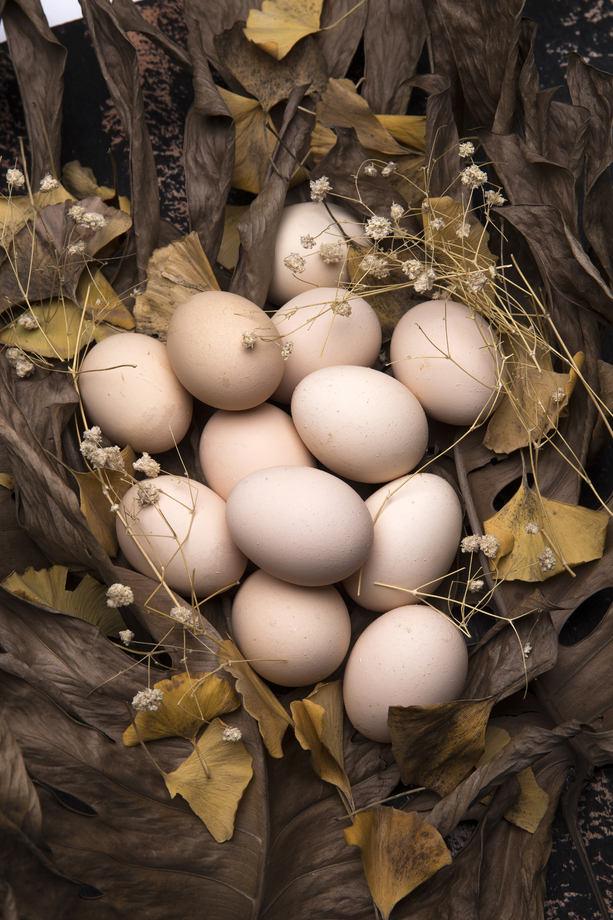 土鸡蛋 土鸡蛋