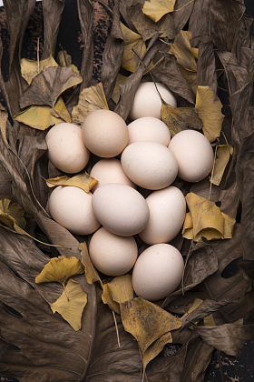 土鸡蛋