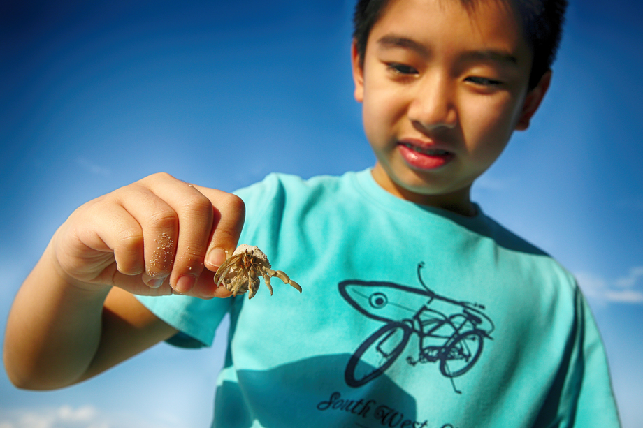 拿着寄居蟹的男孩 拿着寄居蟹的男孩