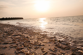 马尔代夫海景照片