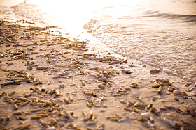 马尔代夫海景图片