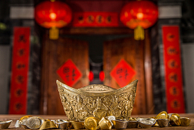 金元宝照片
