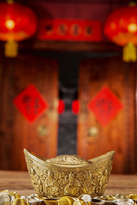 金元宝照片