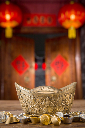 金元宝照片