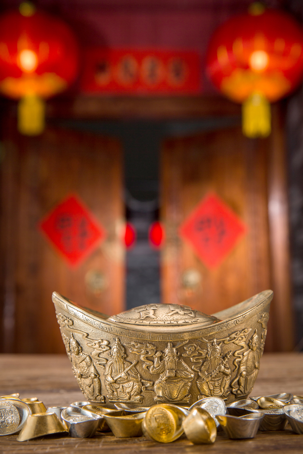 金元宝照片
