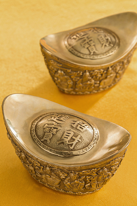 金元宝照片