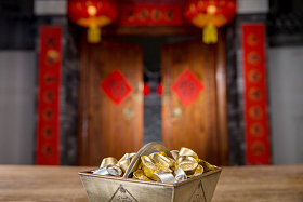 金元宝照片