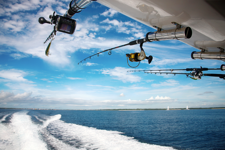 海上滑翔机图片