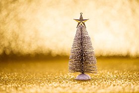 圣诞节静物图片