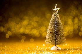 圣诞节静物图片