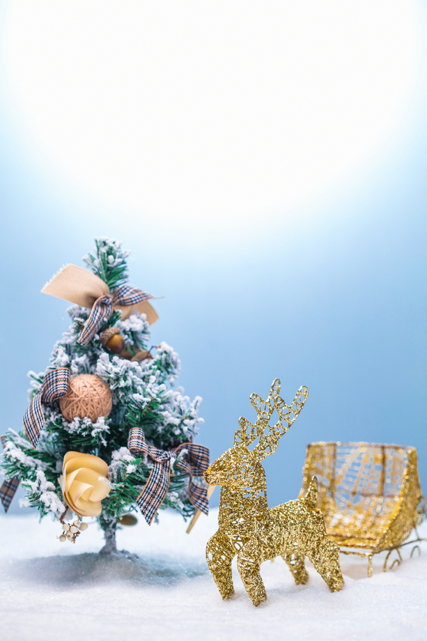 圣诞节静物图片 圣诞节静物图片