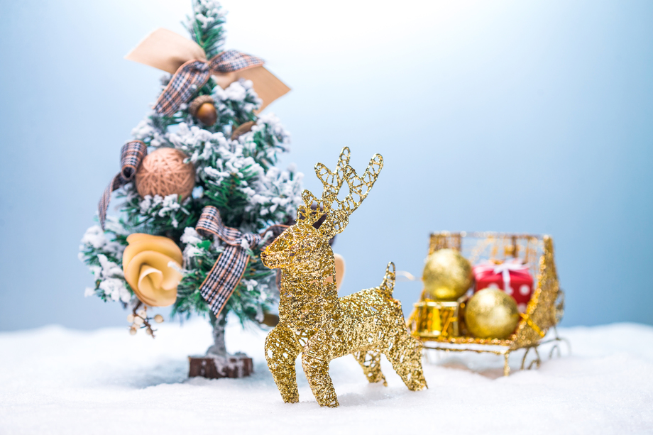 圣诞节静物 圣诞节静物