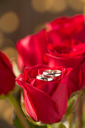 情人节静物图片