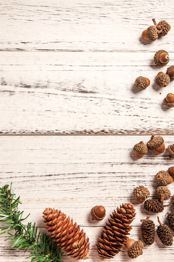 圣诞节静物图片