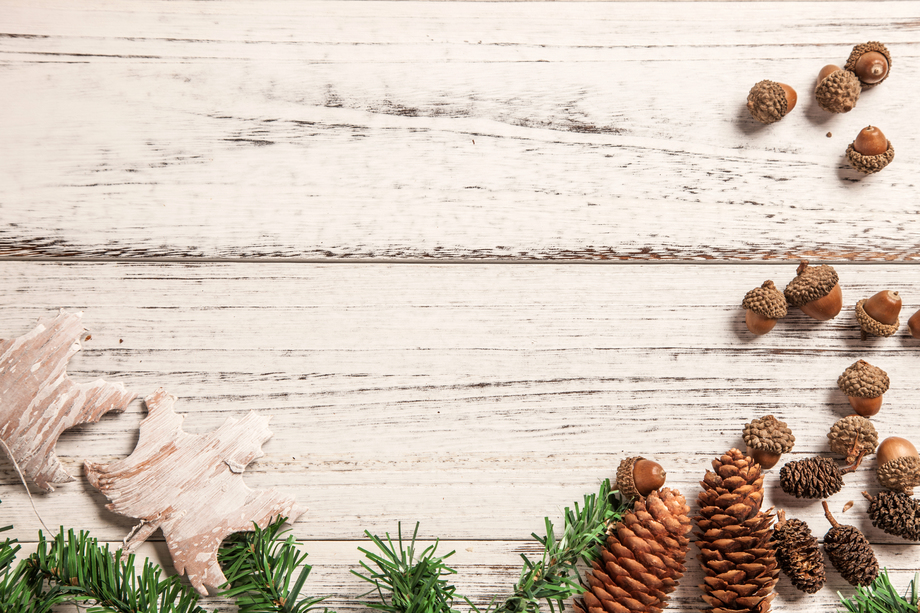 圣诞节静物图片