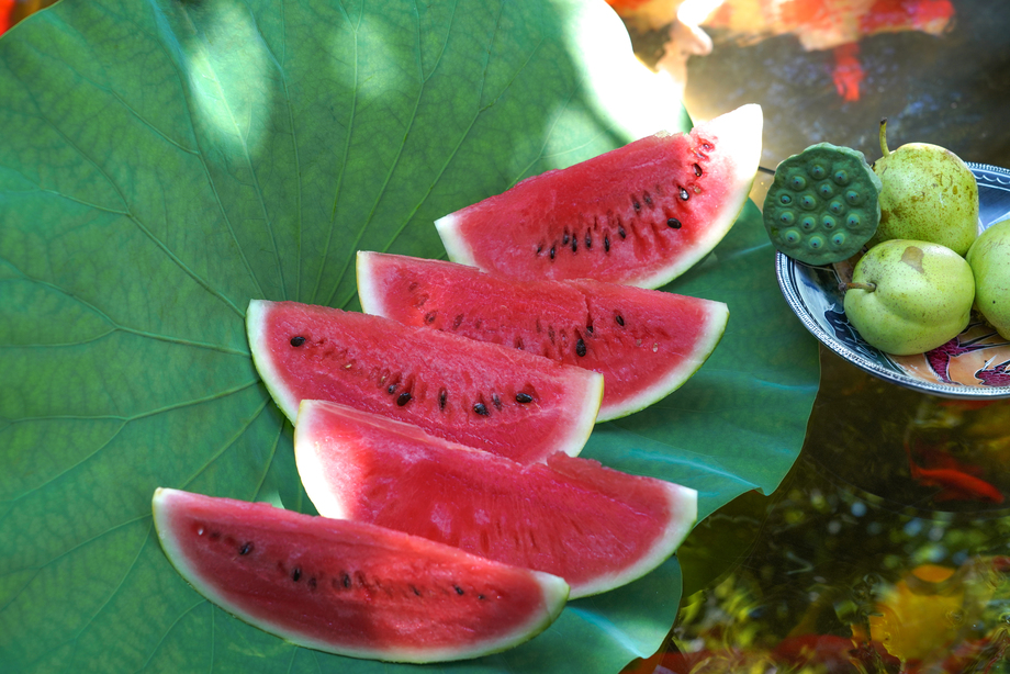 池塘西瓜图片 池塘西瓜图片