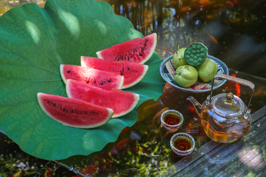 池塘西瓜 池塘西瓜