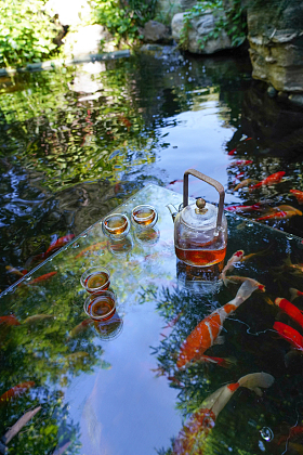 池塘边的茶具照片