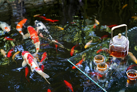 池塘边的茶具照片