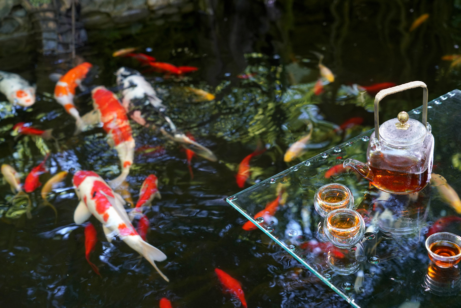 池塘边的茶具照片