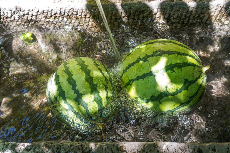西瓜照片