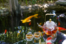 池塘边的茶具照片