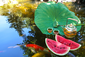 夏日的池塘图片