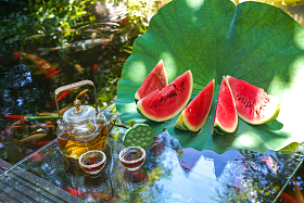 夏日的池塘图片