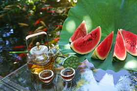 夏日的池塘图片