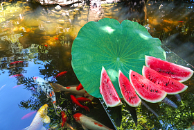 西瓜图片