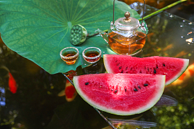 夏日的池塘图片