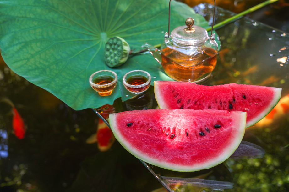 夏日的池塘图片