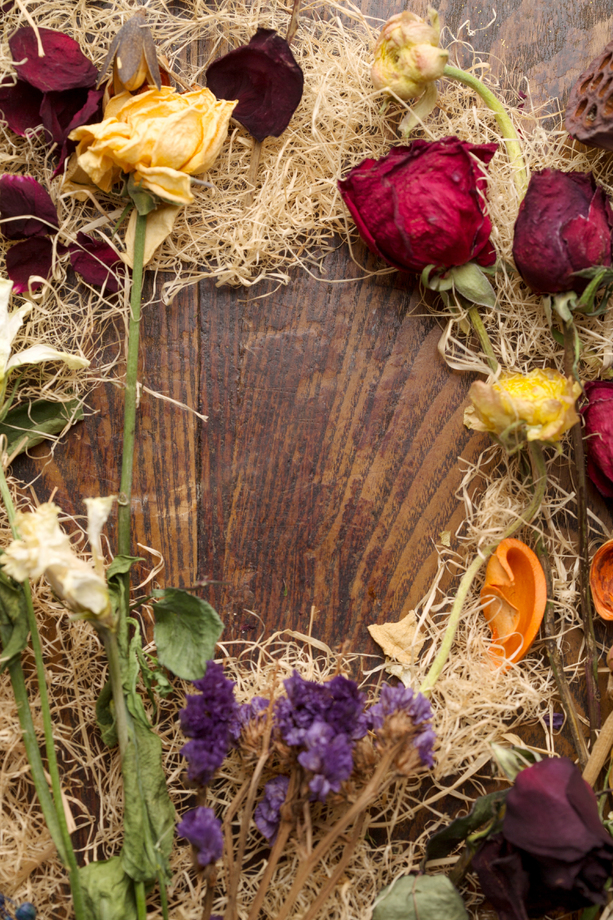 干花图片 干花图片