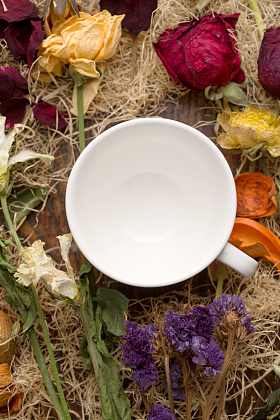 杯子与花束照片