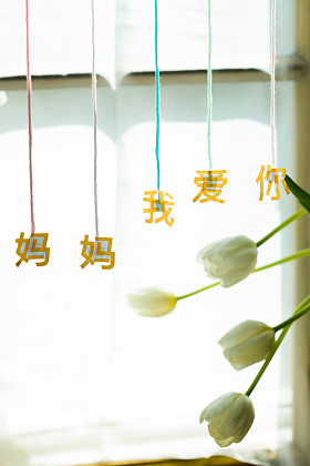 母亲节静物照片