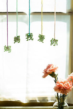 母亲节静物图片