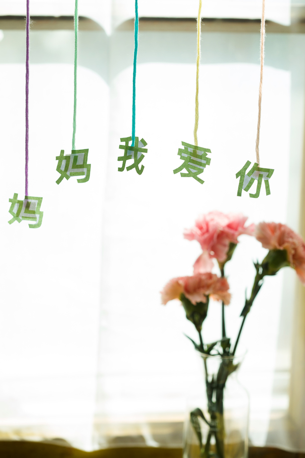 母亲节静物 母亲节静物