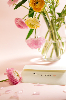 母亲节静物图片