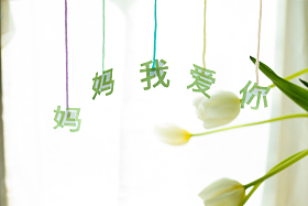 母亲节静物图片