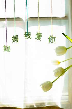 母亲节静物