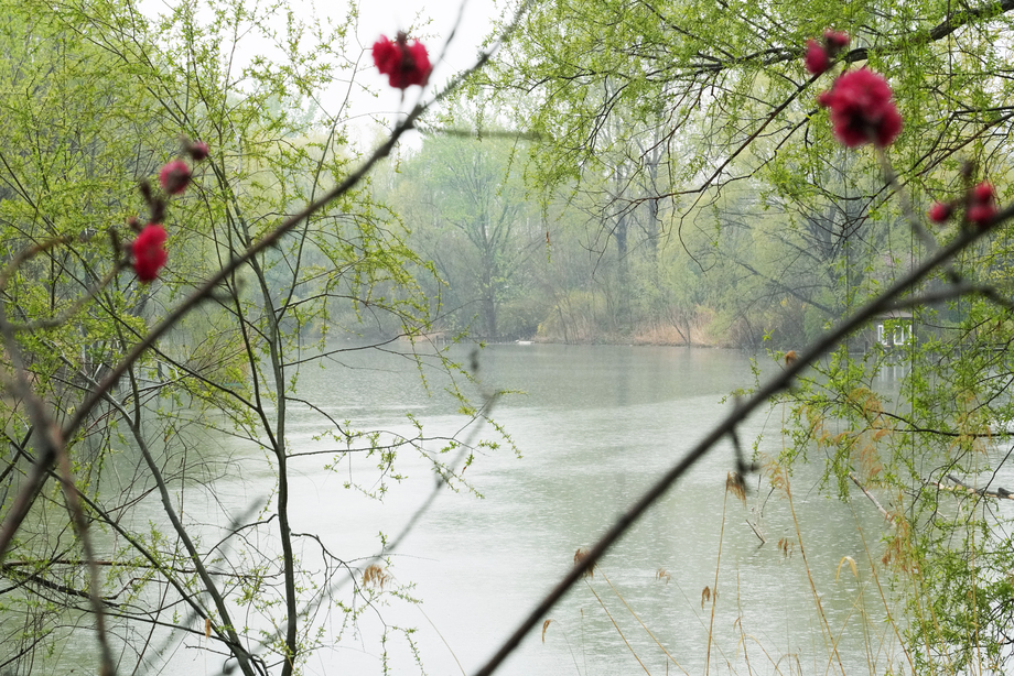 自然风光 自然风光