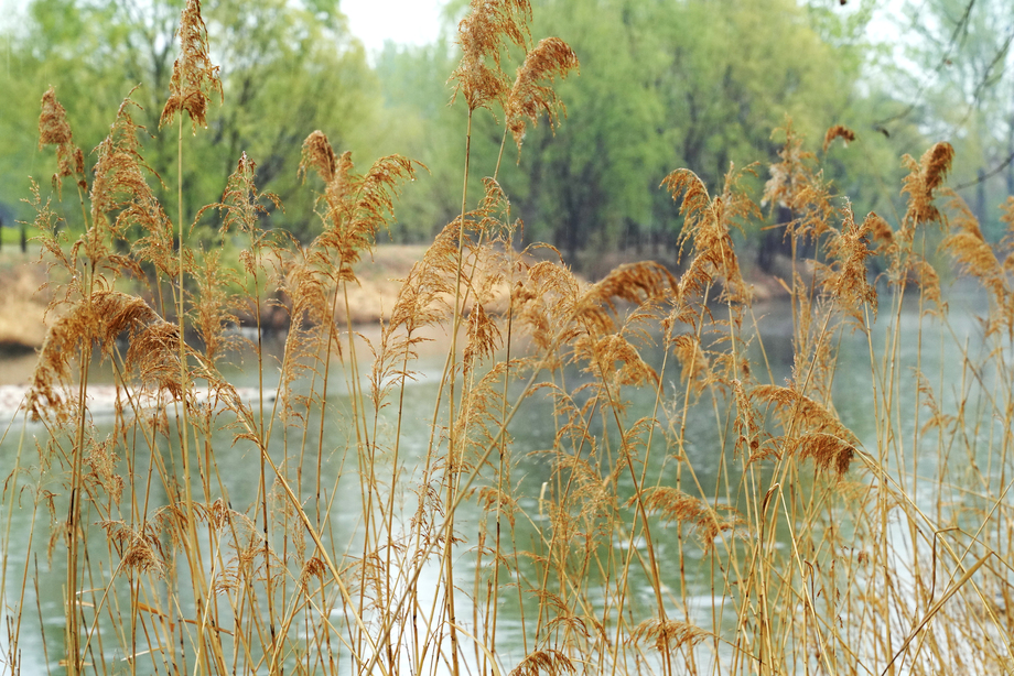 自然风光 自然风光