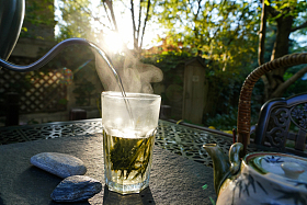 茶杯照片