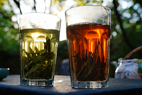 茶杯照片