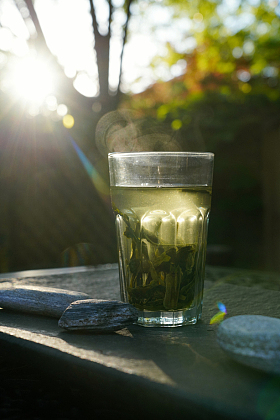 茶杯图片